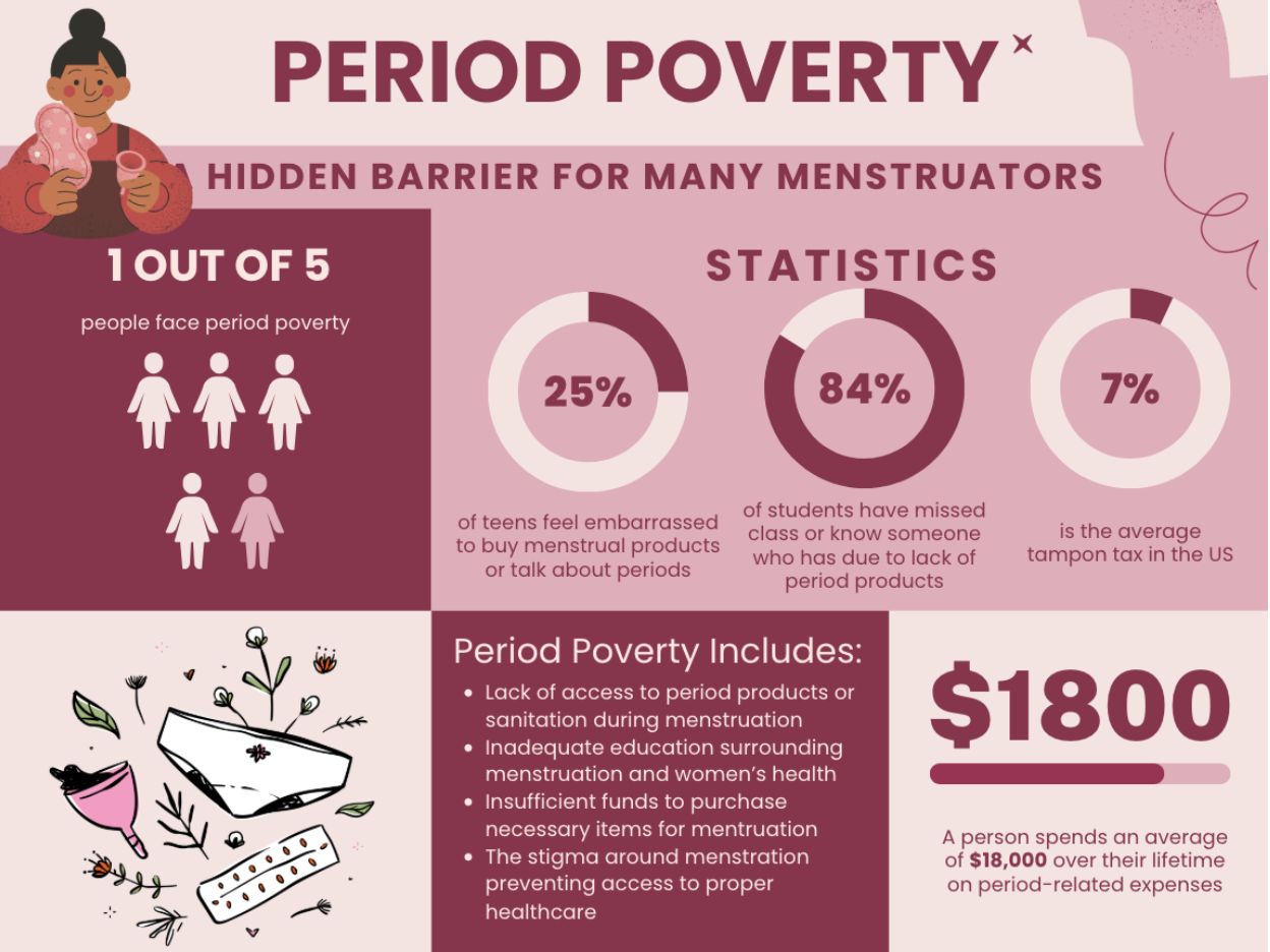 Period Poverty infographic